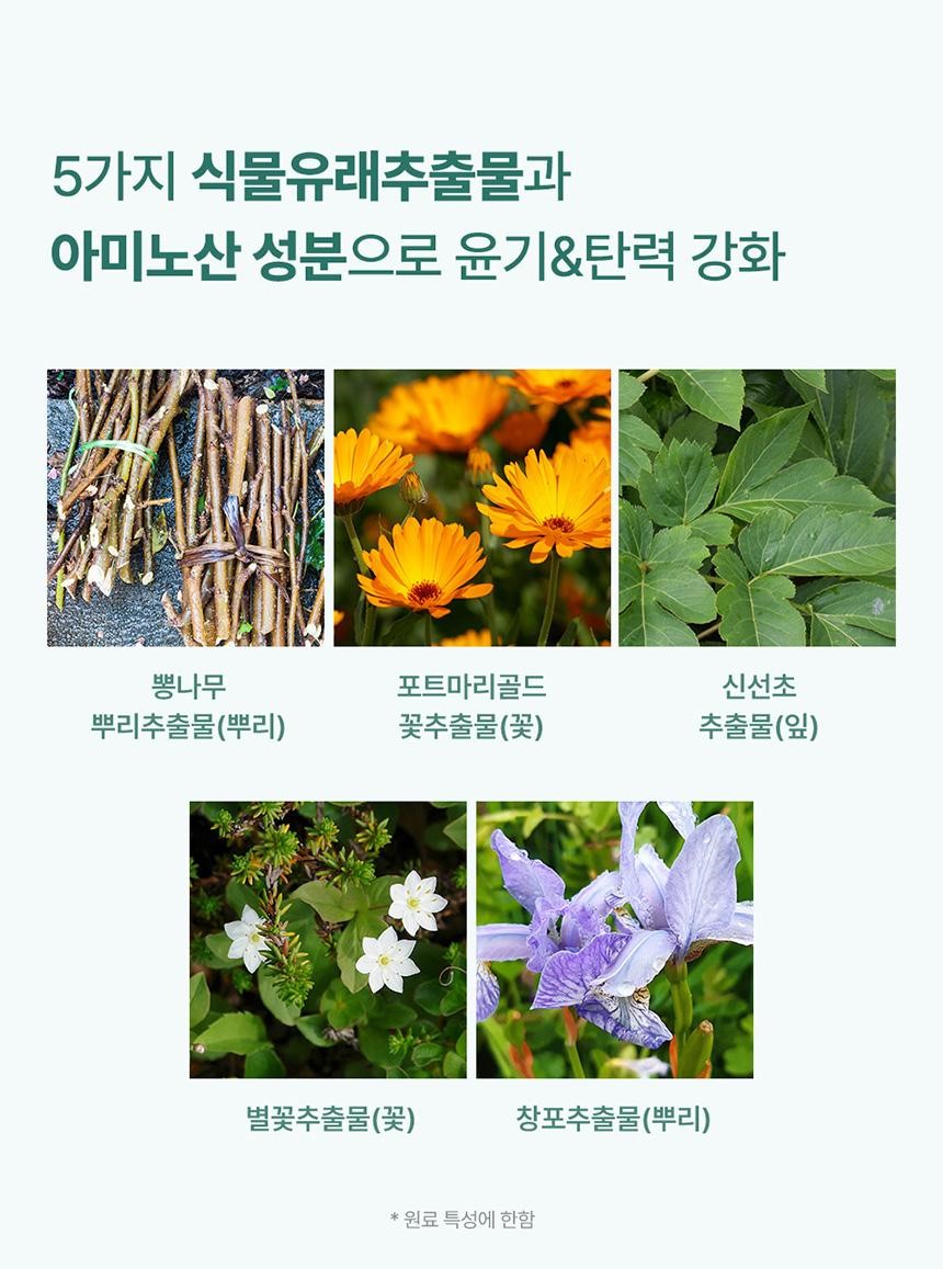argan pack 7